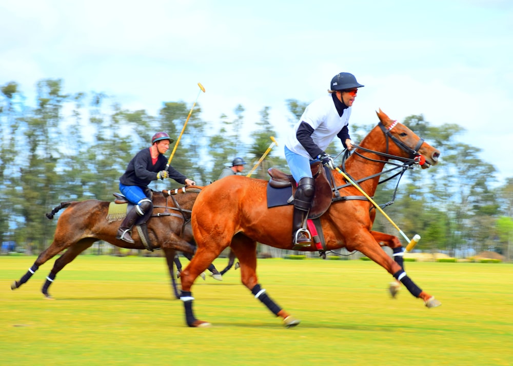 2 men riding horses on green grass field during daytime