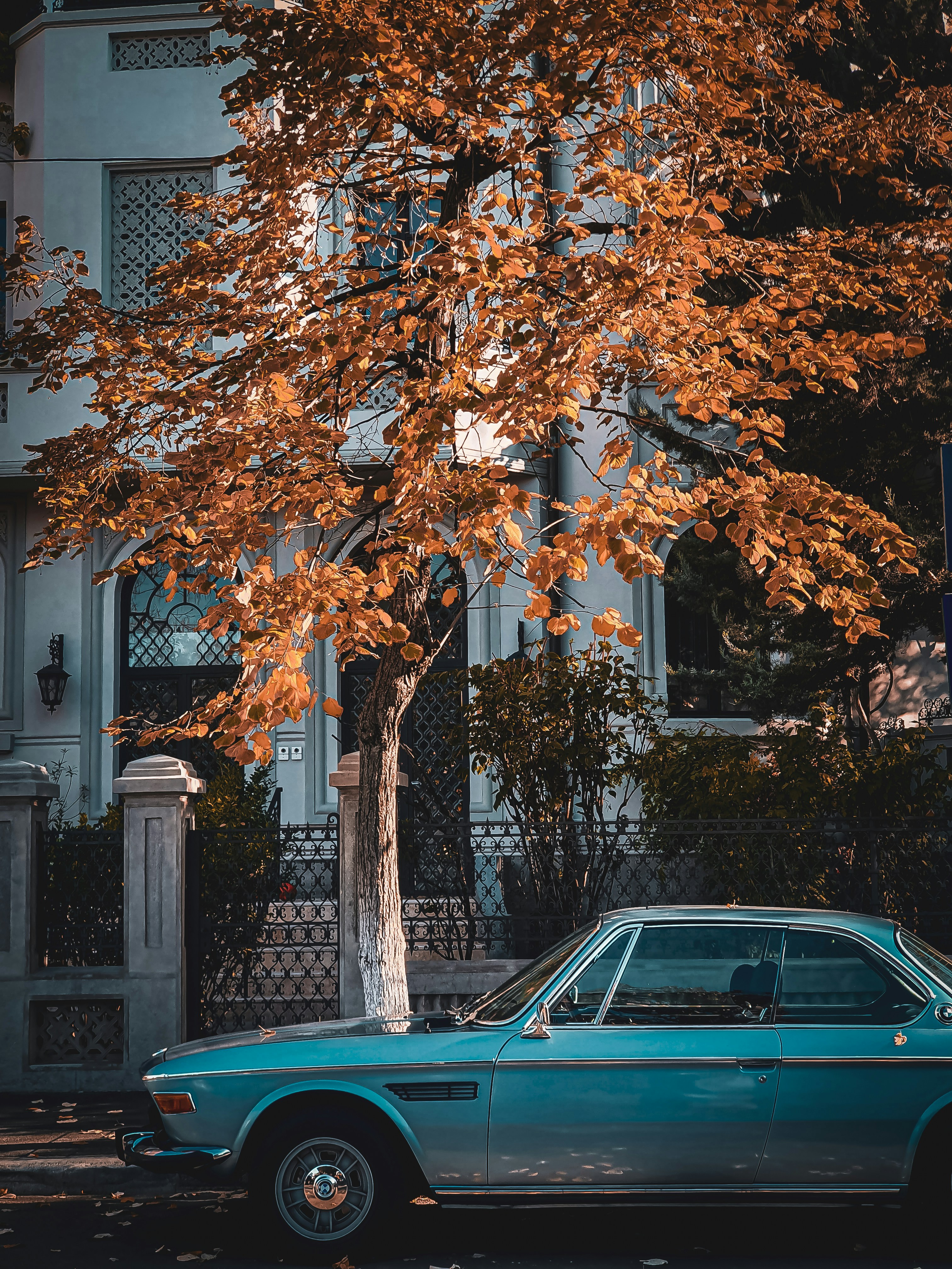 Photo by bianca_fazacas