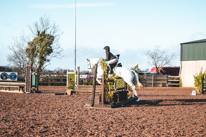 数字营销工作场景