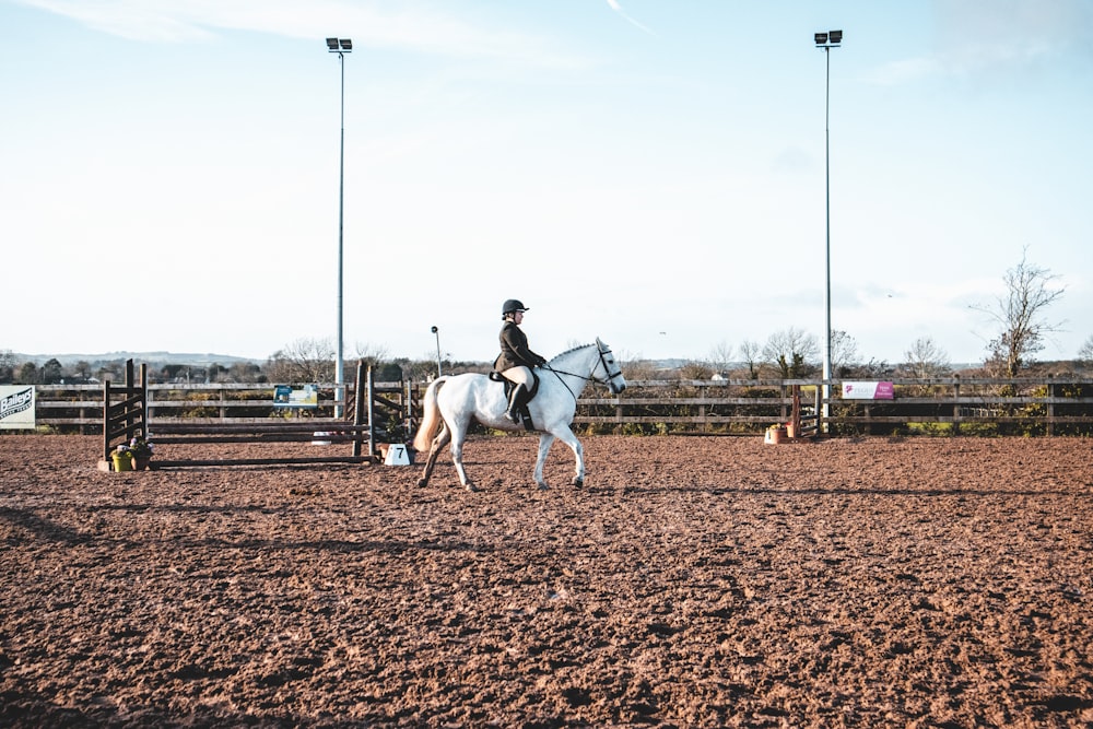 man in white shirt riding white horse during daytime