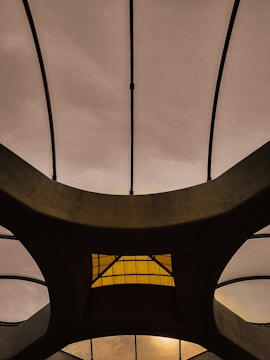 The image features an architectural structure with a series of curved, intersecting beams forming a geometric pattern. The background consists of a translucent material allowing light to filter through, creating a contrast with the dark beams. A central section includes a yellow-tinted glass or window, adding an element of color to the design.