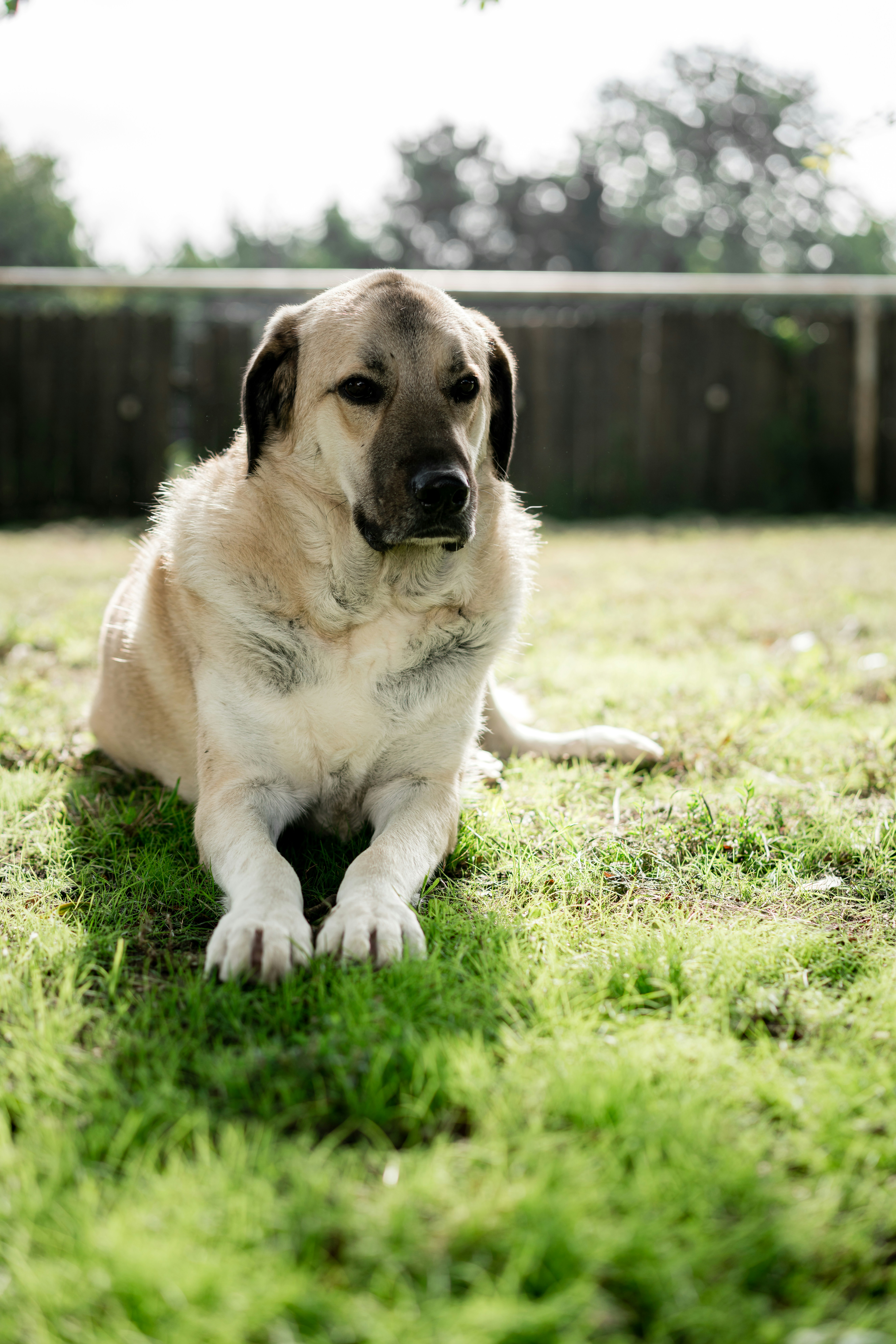 Photo by ccfromtexas