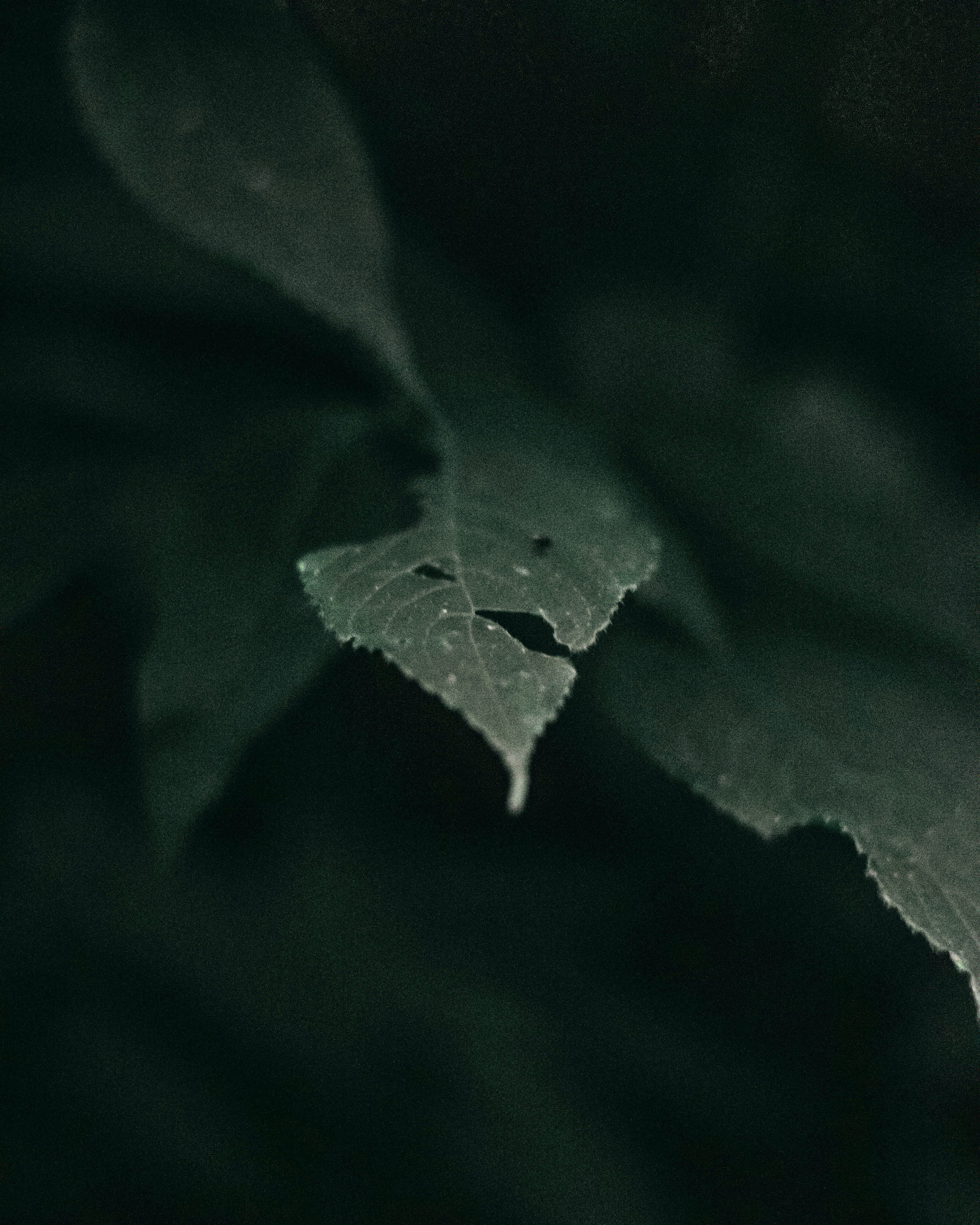 Photo by rubenstein111rebello