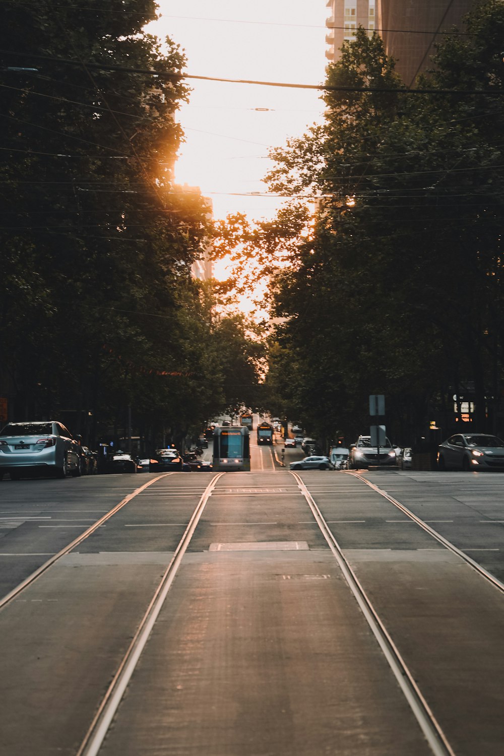 cars on road during sunset