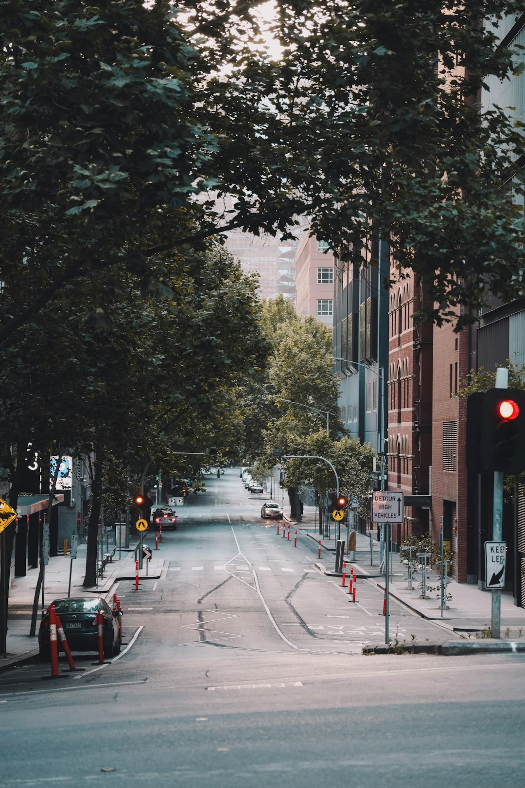 people walking on sidewalk near trees and buildings during daytime