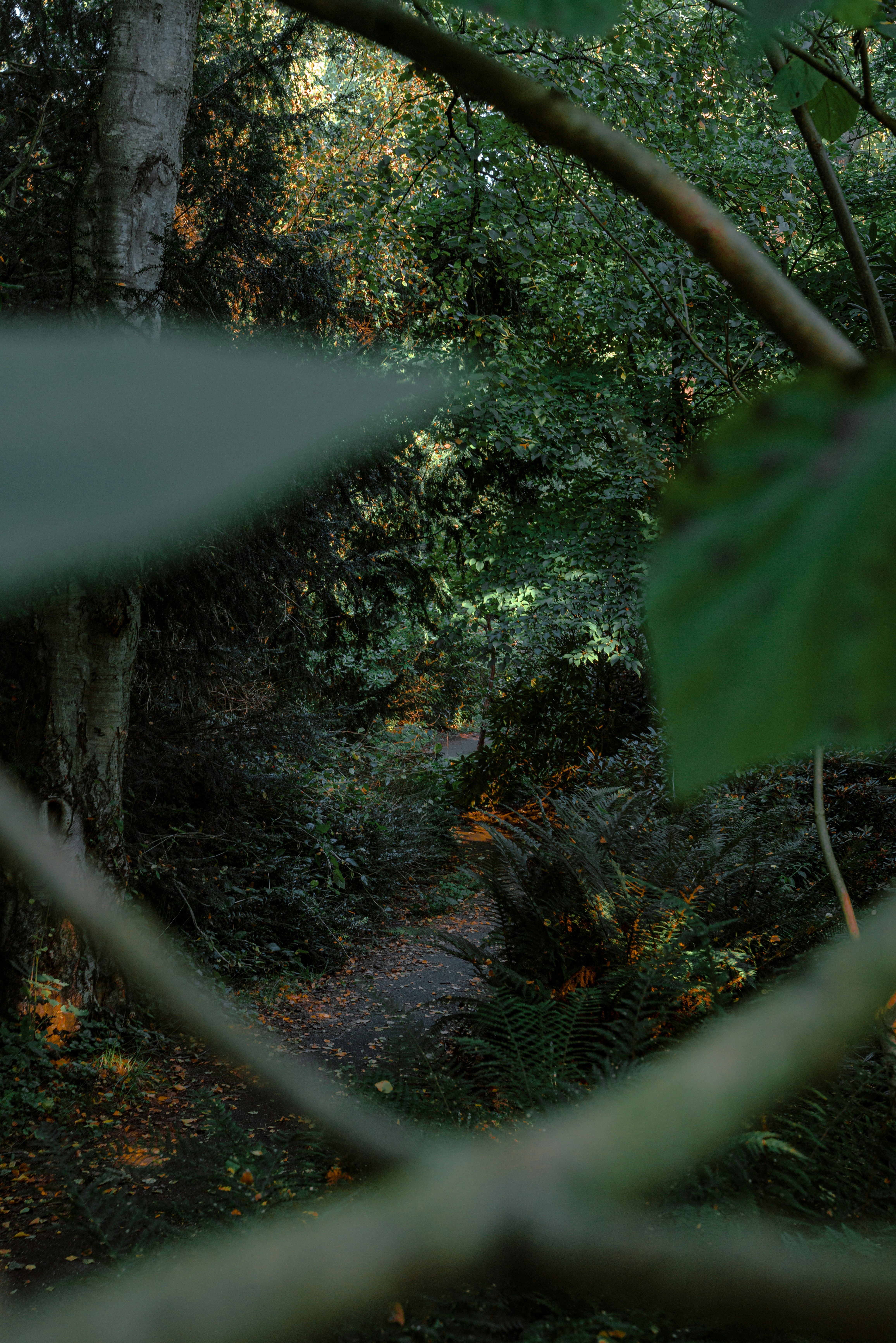 Photo by pieter_benjamin