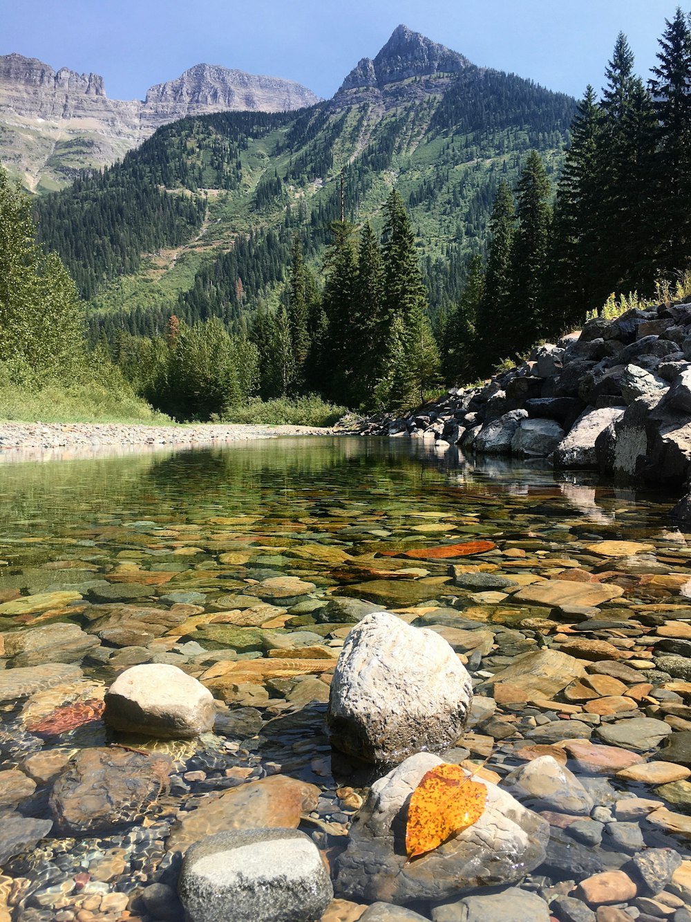 昼間の緑の木々や山の近くの川に浮かぶ灰色の岩