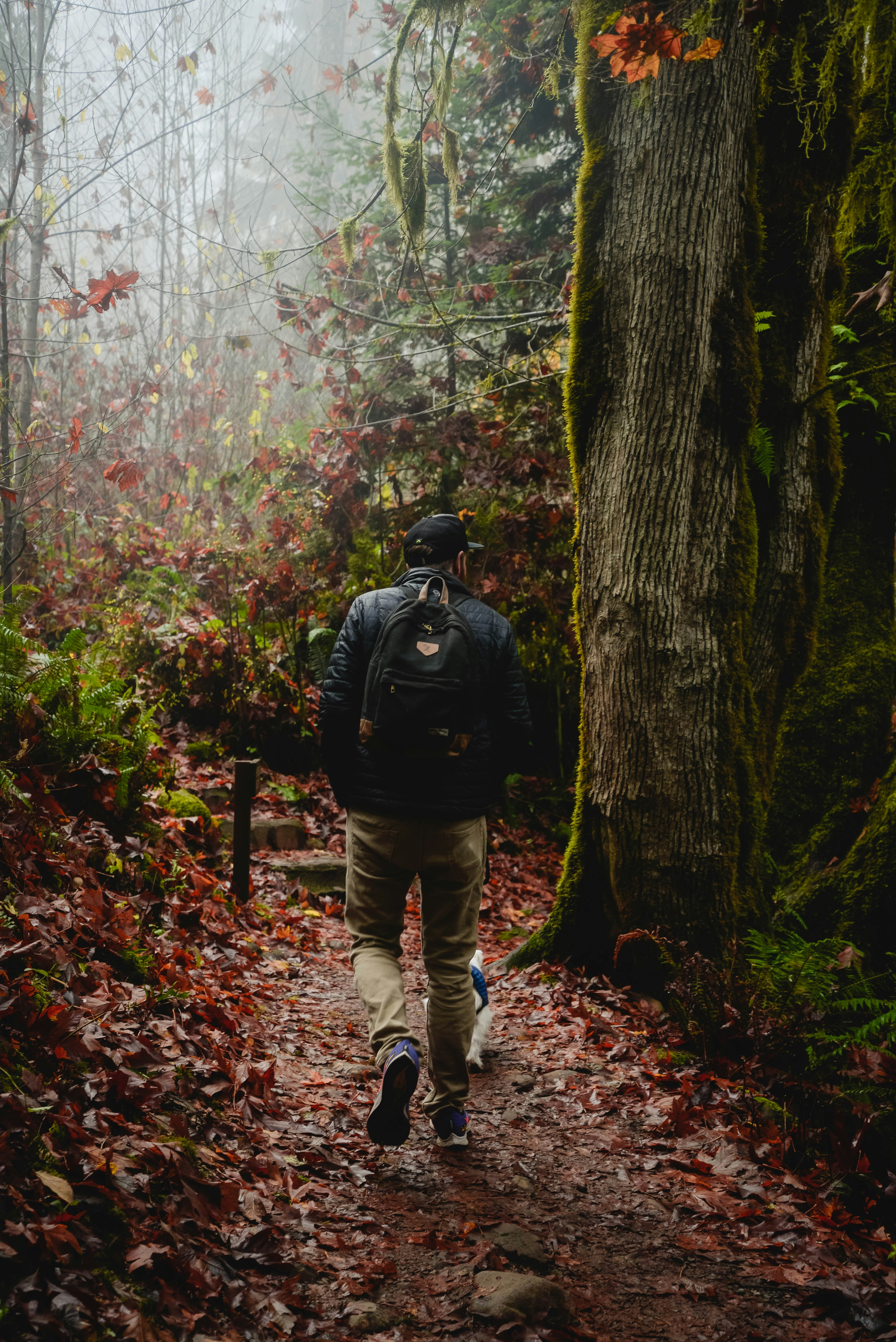 Photo by lorencutler