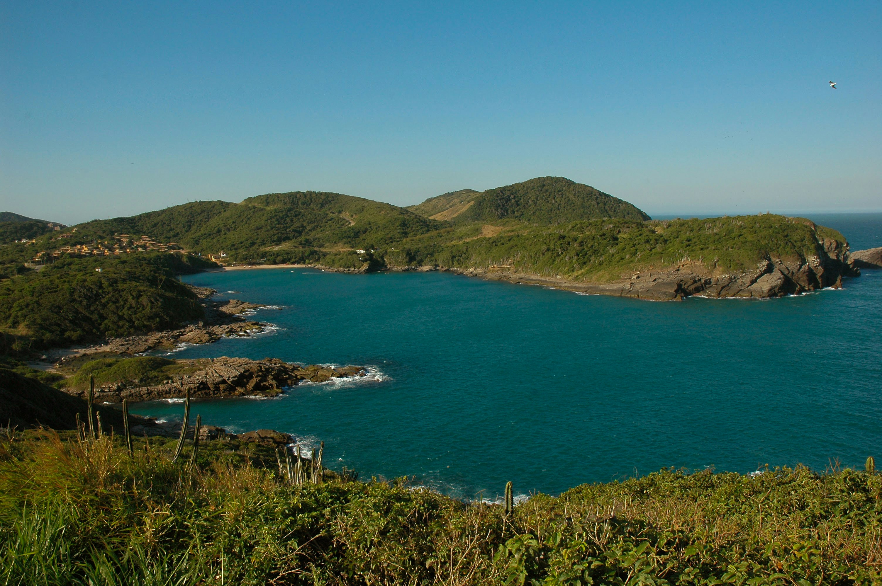 trip gallery picture