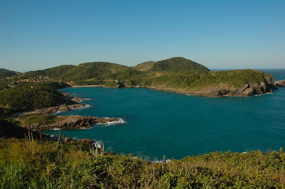 campo de hierba verde cerca del mar azul bajo el cielo azul durante el día