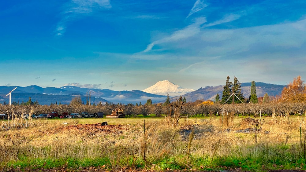 green grass field near mountain under blue sky during daytime