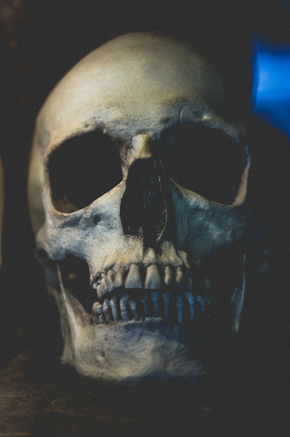 white skull with black background