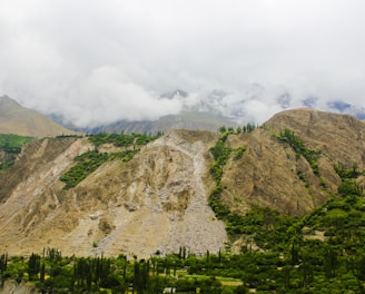 green trees near mountain under white clouds during daytime