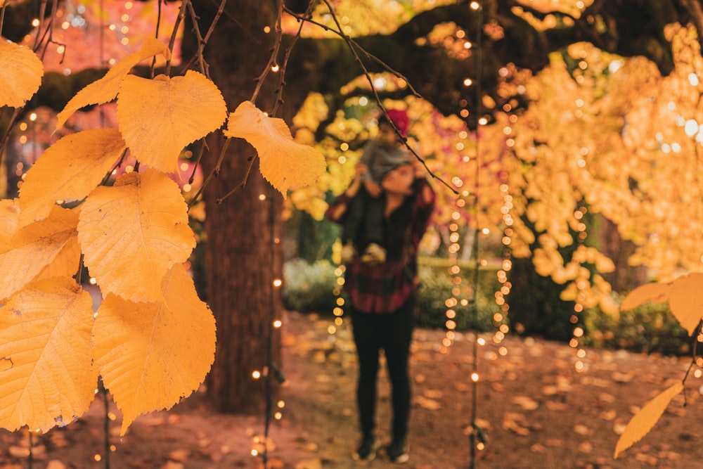 woman in black jacket standing under yellow leaves during daytime