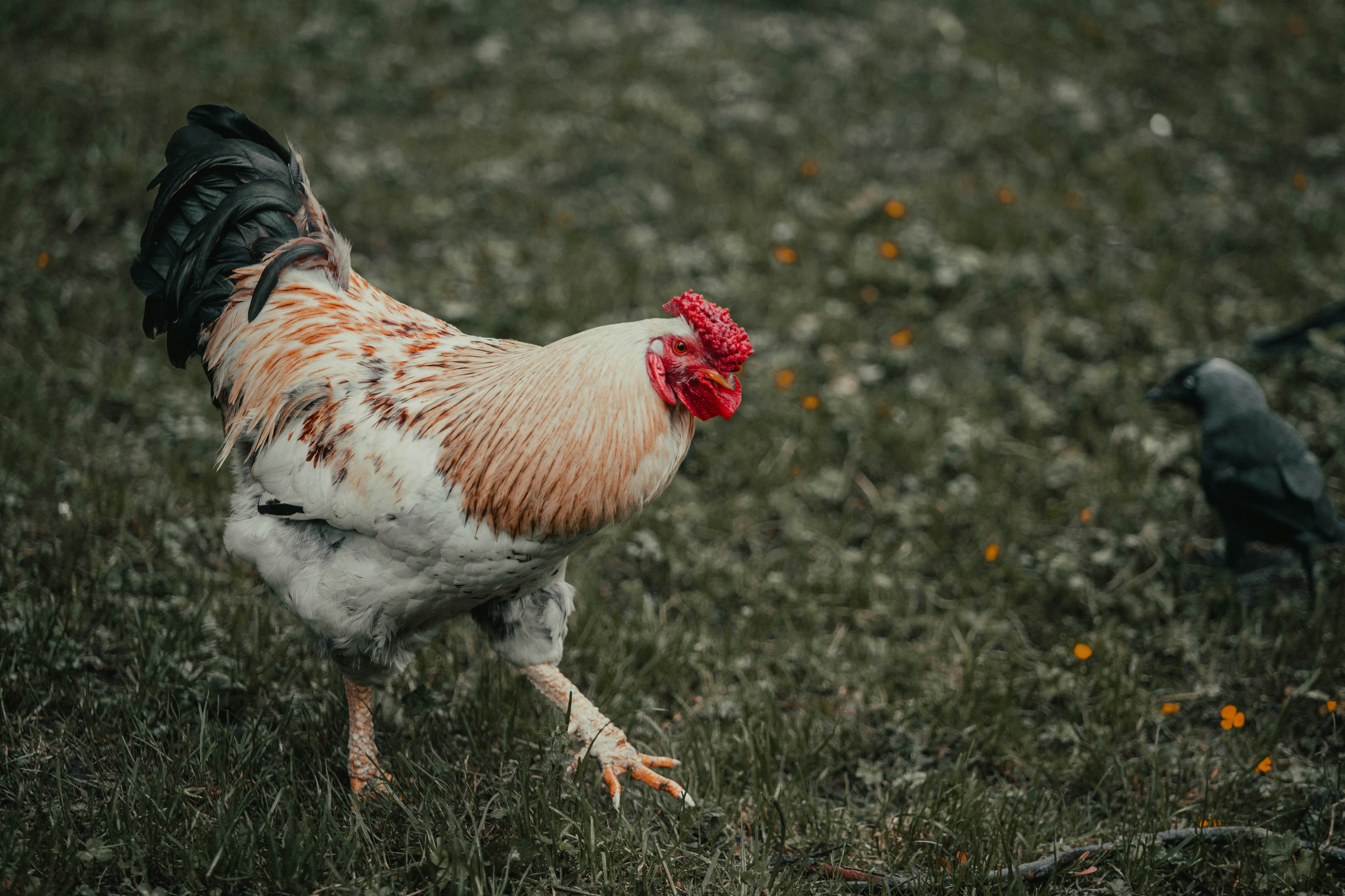 Photo by theshuttervision