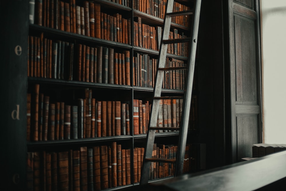 brown wooden book shelves with books