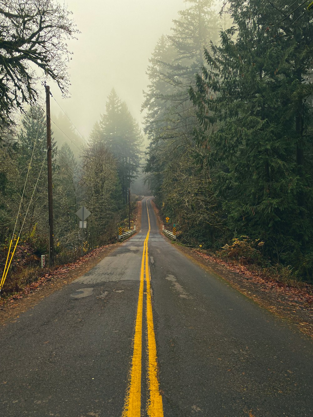 gray concrete road between green trees during daytime