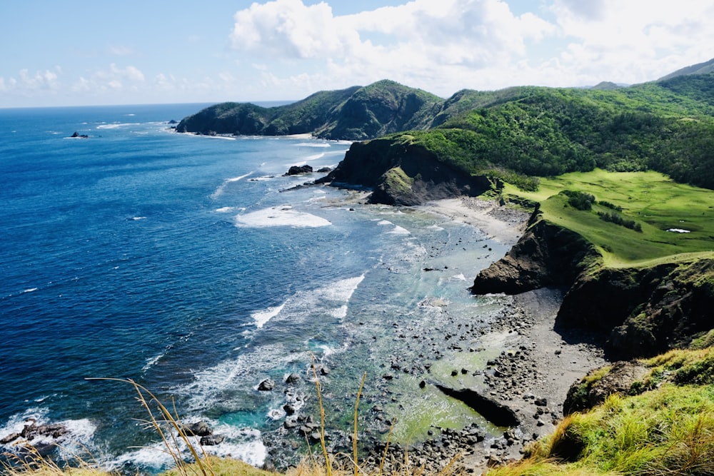 green grass on mountain near body of water during daytime