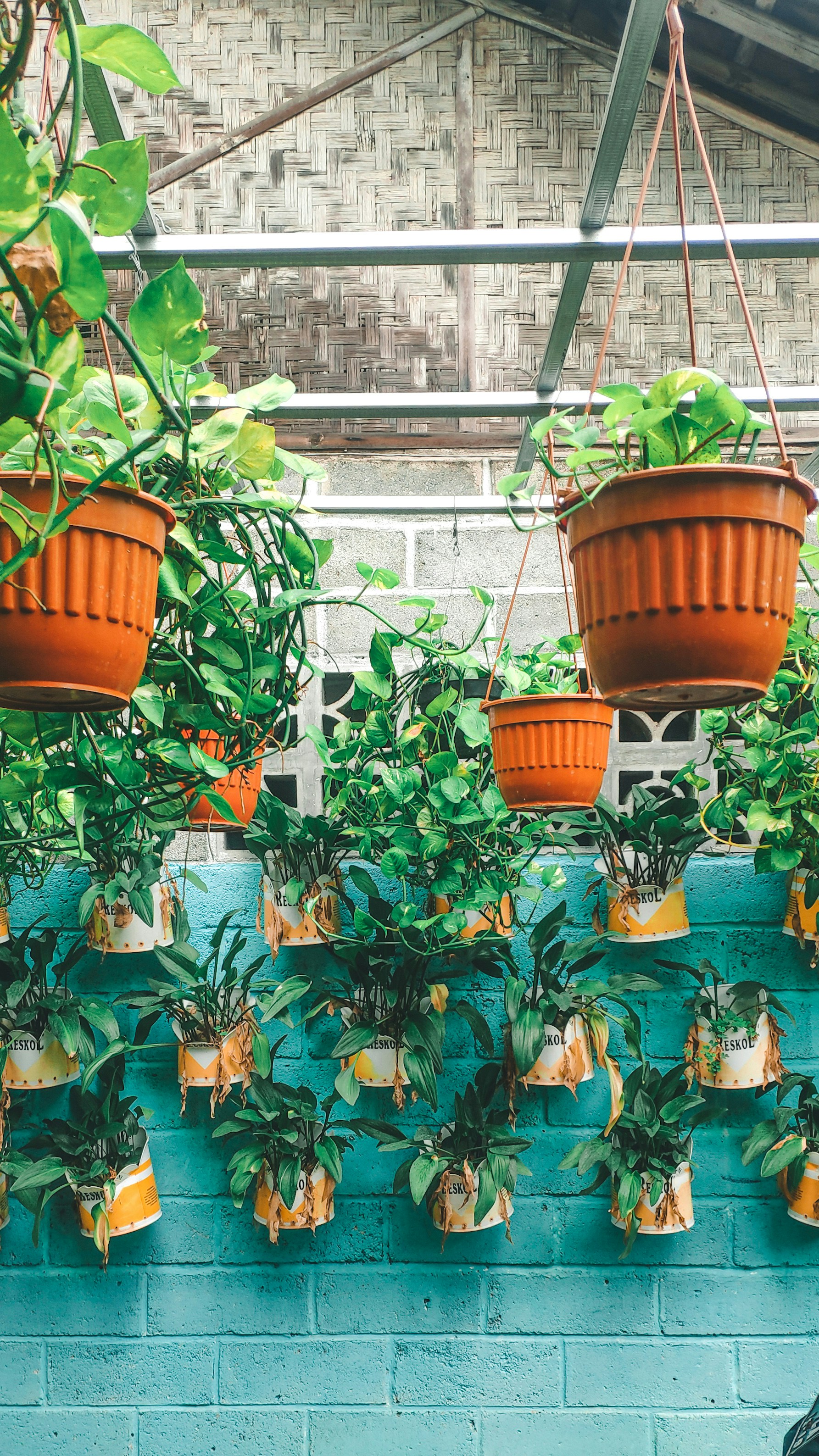 Photo by gemasaputera