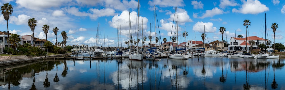 white and blue sail boats on dock during daytime