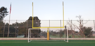 A vibrant image of a football field with goalposts and the NFL logo in the background.