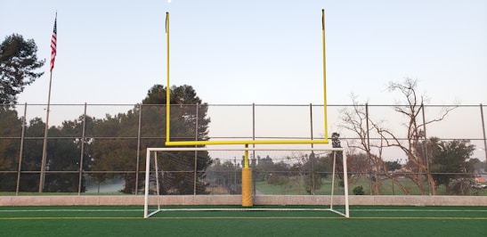 A vibrant image of a football field with goalposts and the NFL logo in the background.
