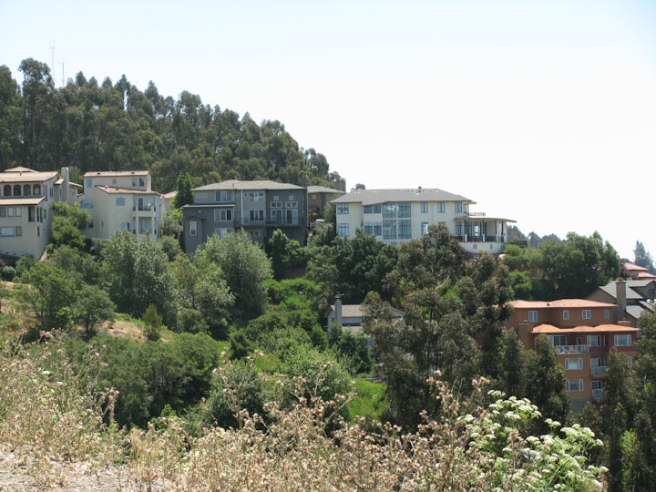 Bay Area, California, homes on a hillside surrounded by shrubs and eucalyptus