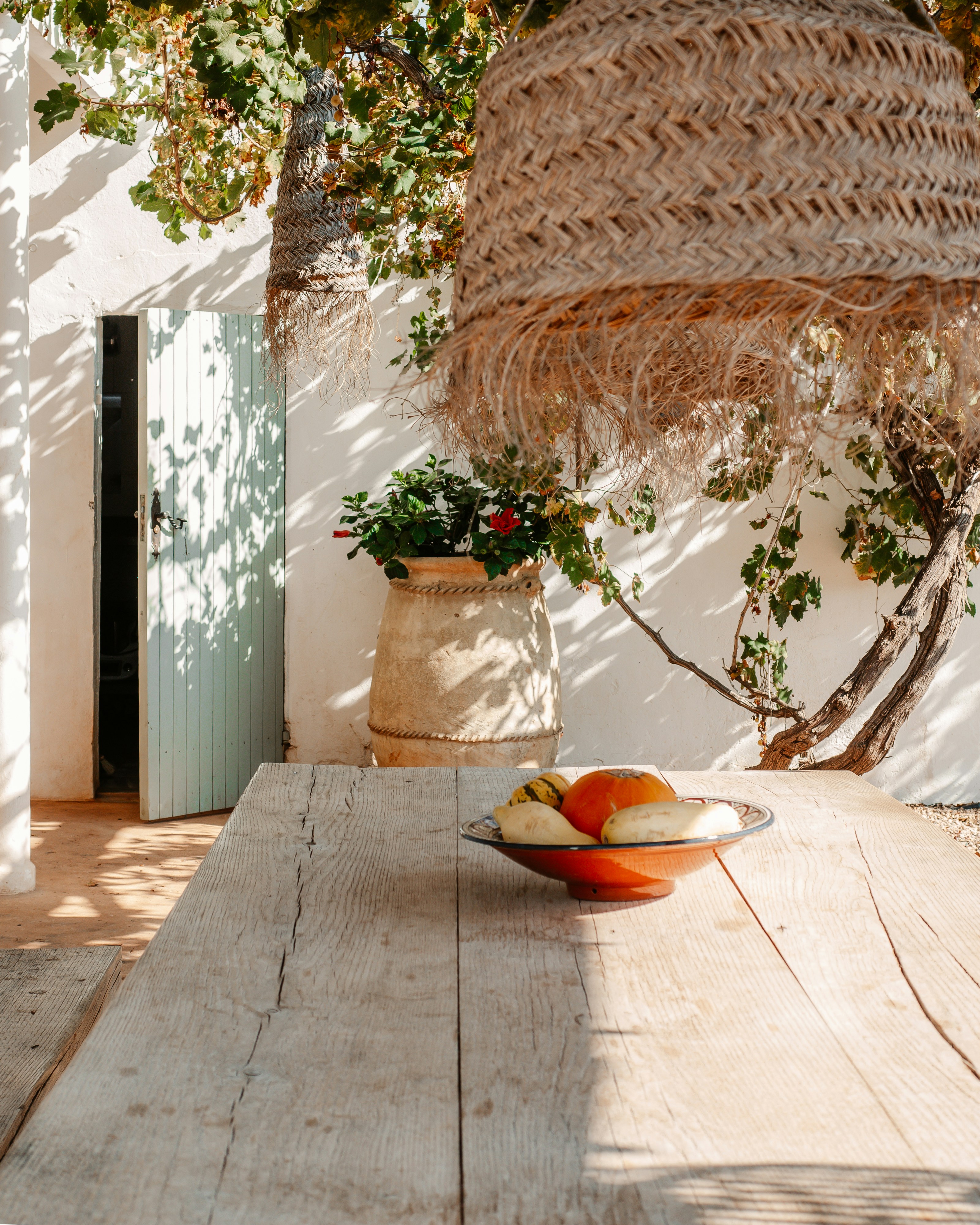 Terra Masia Ibiza ~ Organic Farm in Ibiza, Santa Eulària. Beautiful design. 𝚆𝚎𝚎𝚔𝚕𝚢 𝚗𝚎𝚠 𝚙𝚑𝚘𝚝𝚘𝚜 𝚘𝚏 𝙸𝚋𝚒𝚣𝚊. 𝙻𝚎𝚝'𝚜 𝚌𝚘𝚗𝚗𝚎𝚌𝚝 𝚘𝚗 𝙸𝚗𝚜𝚝𝚊𝚐𝚛𝚊𝚖 @𝚒𝚋𝚒𝚣𝚊.𝚒.𝚋.𝚒.𝚣.𝚊.𝚒𝚋𝚒𝚣𝚊