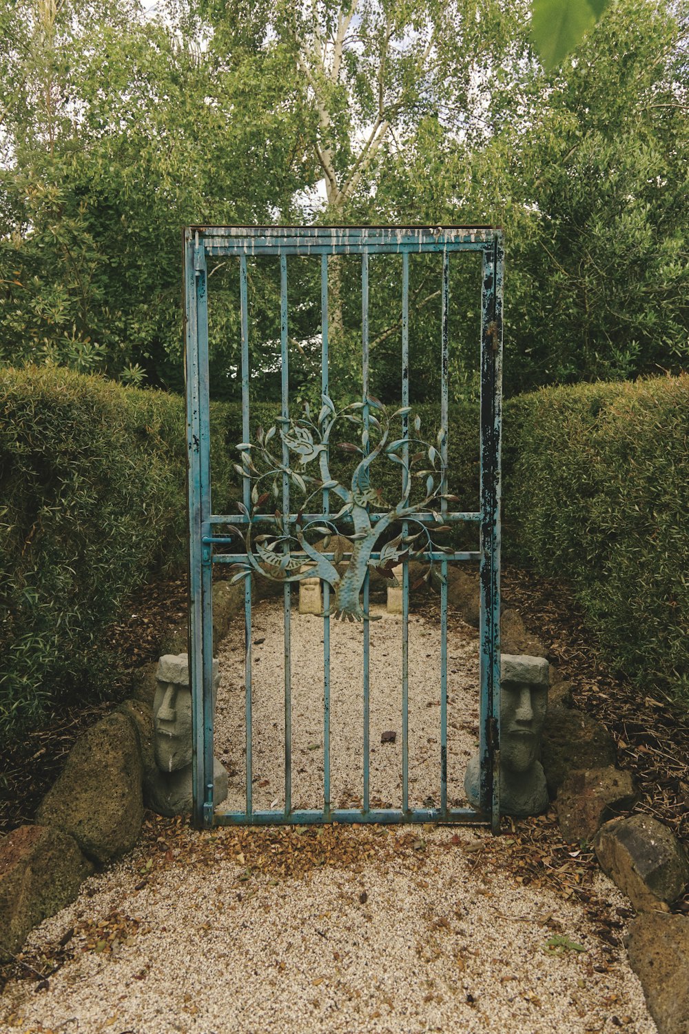 blue metal gate near green trees during daytime