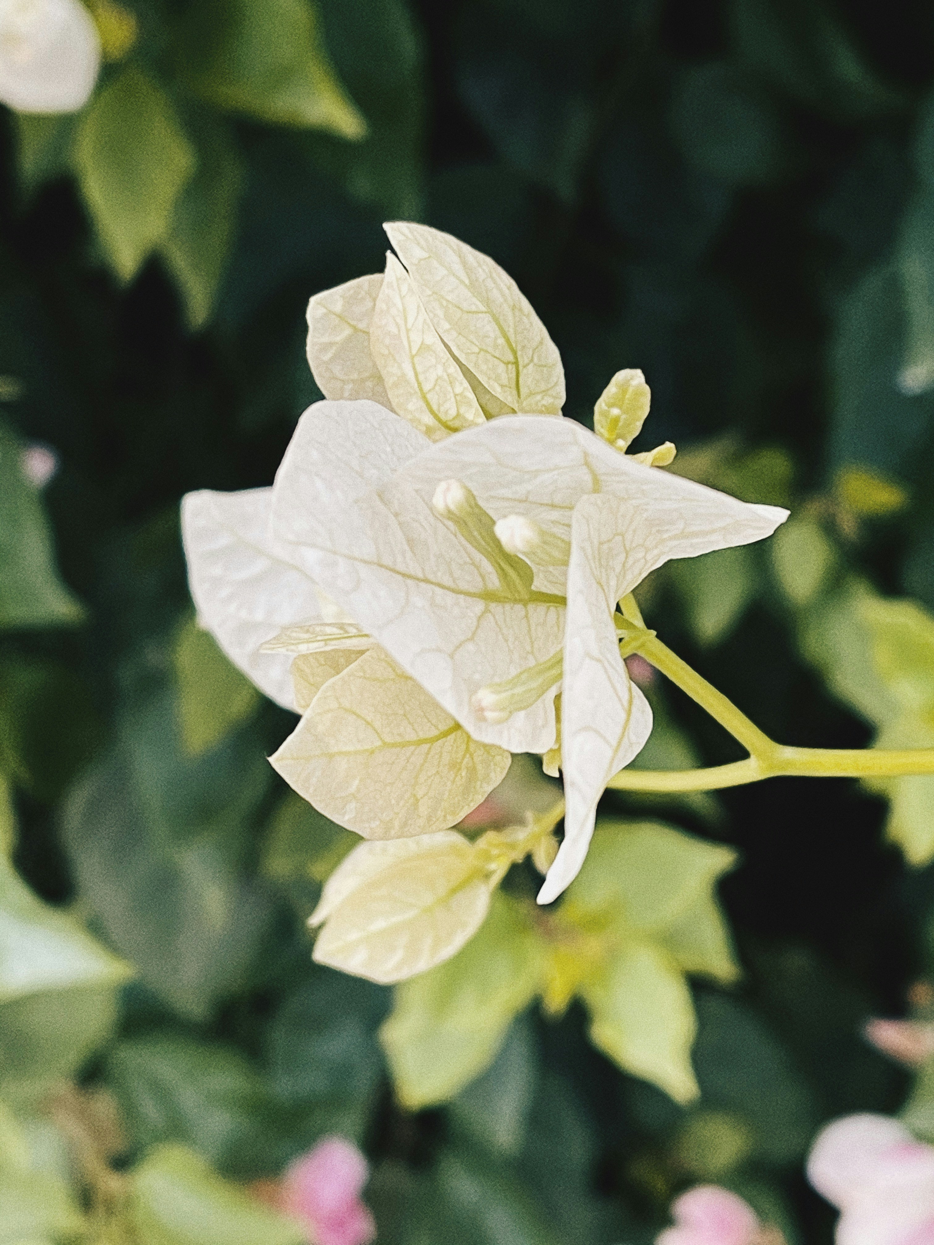 Photo by youli_g
