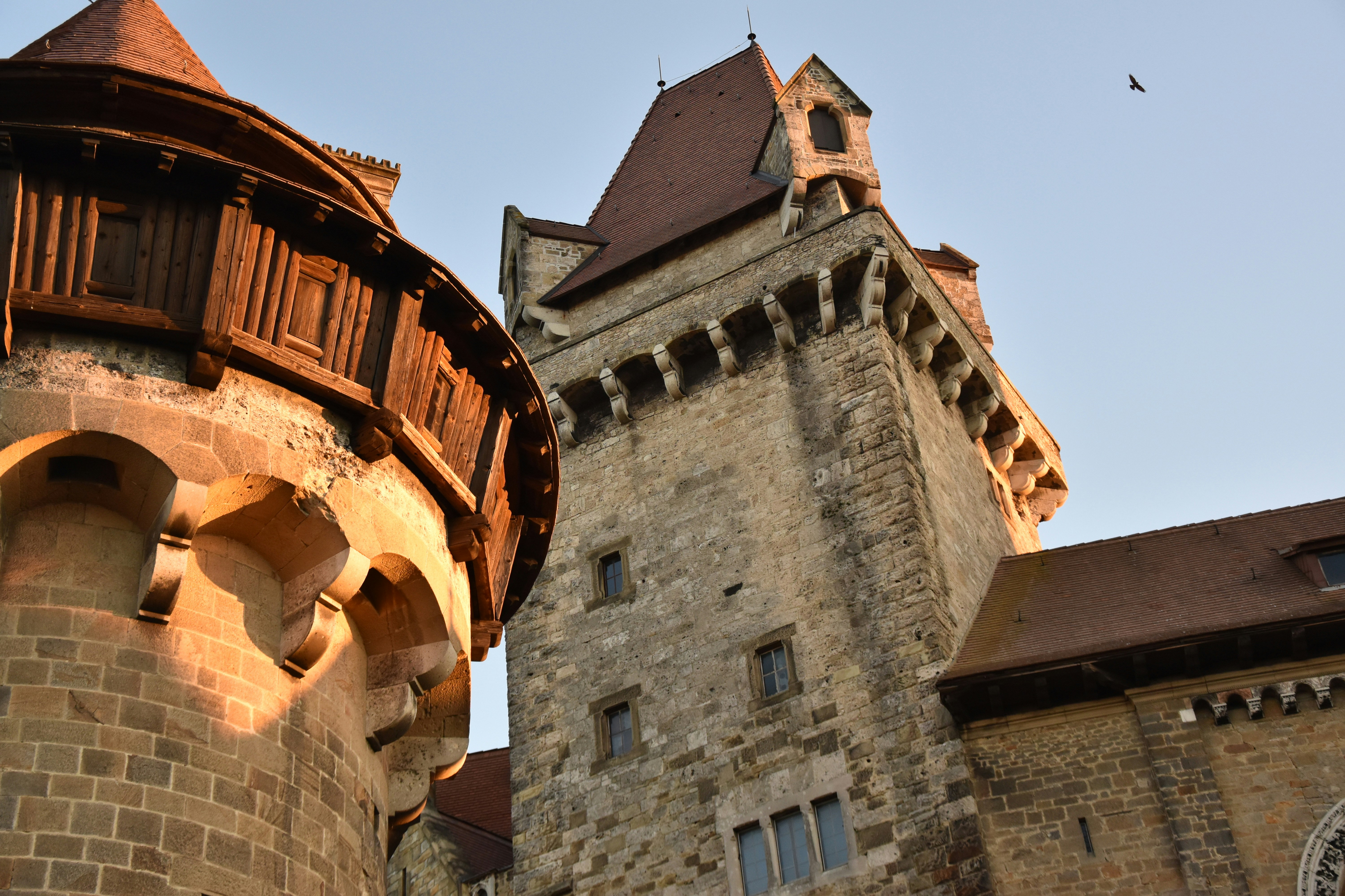 Photo by sebastiangraserphotography