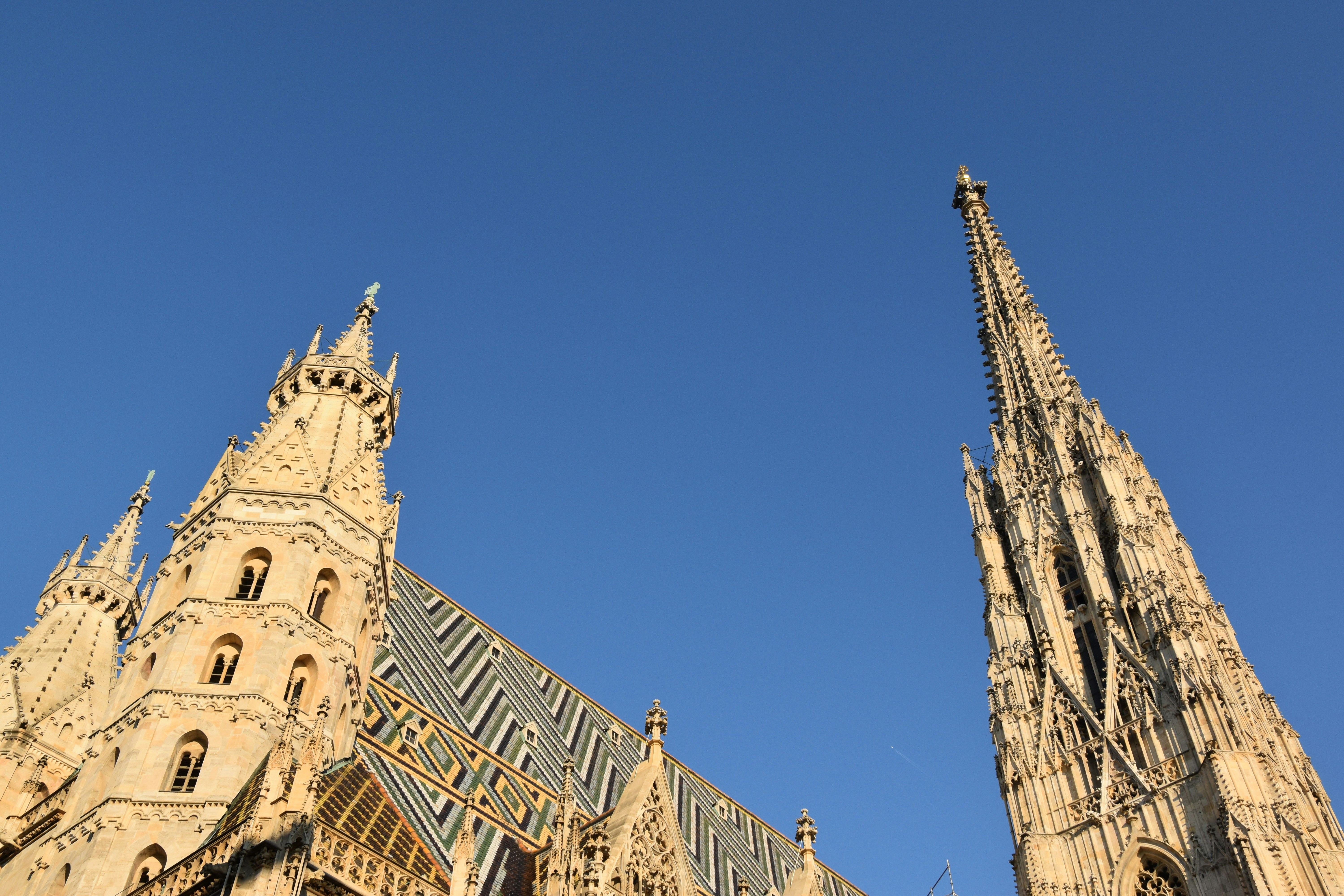 Photo by sebastiangraserphotography