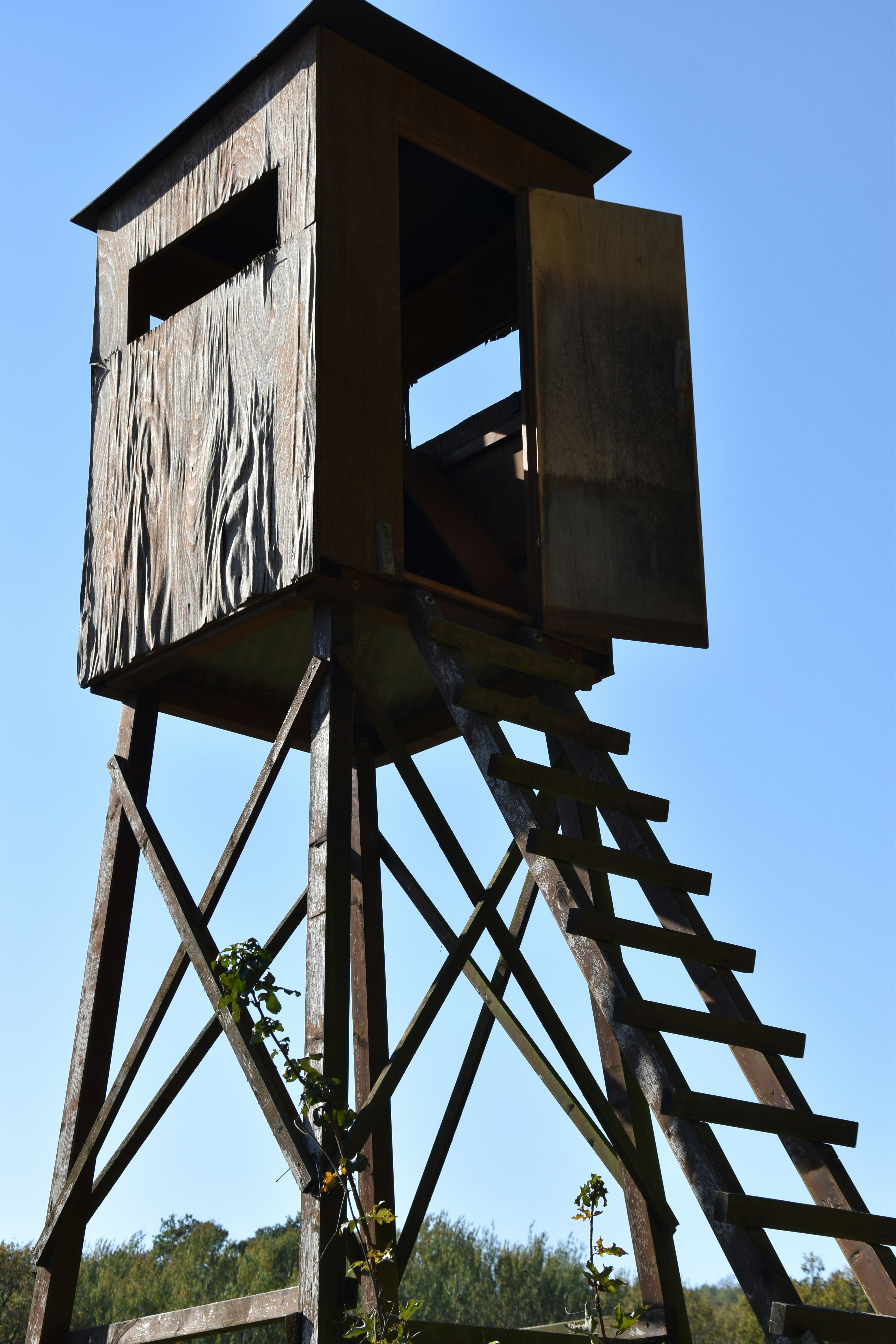 Photo by sebastiangraserphotography