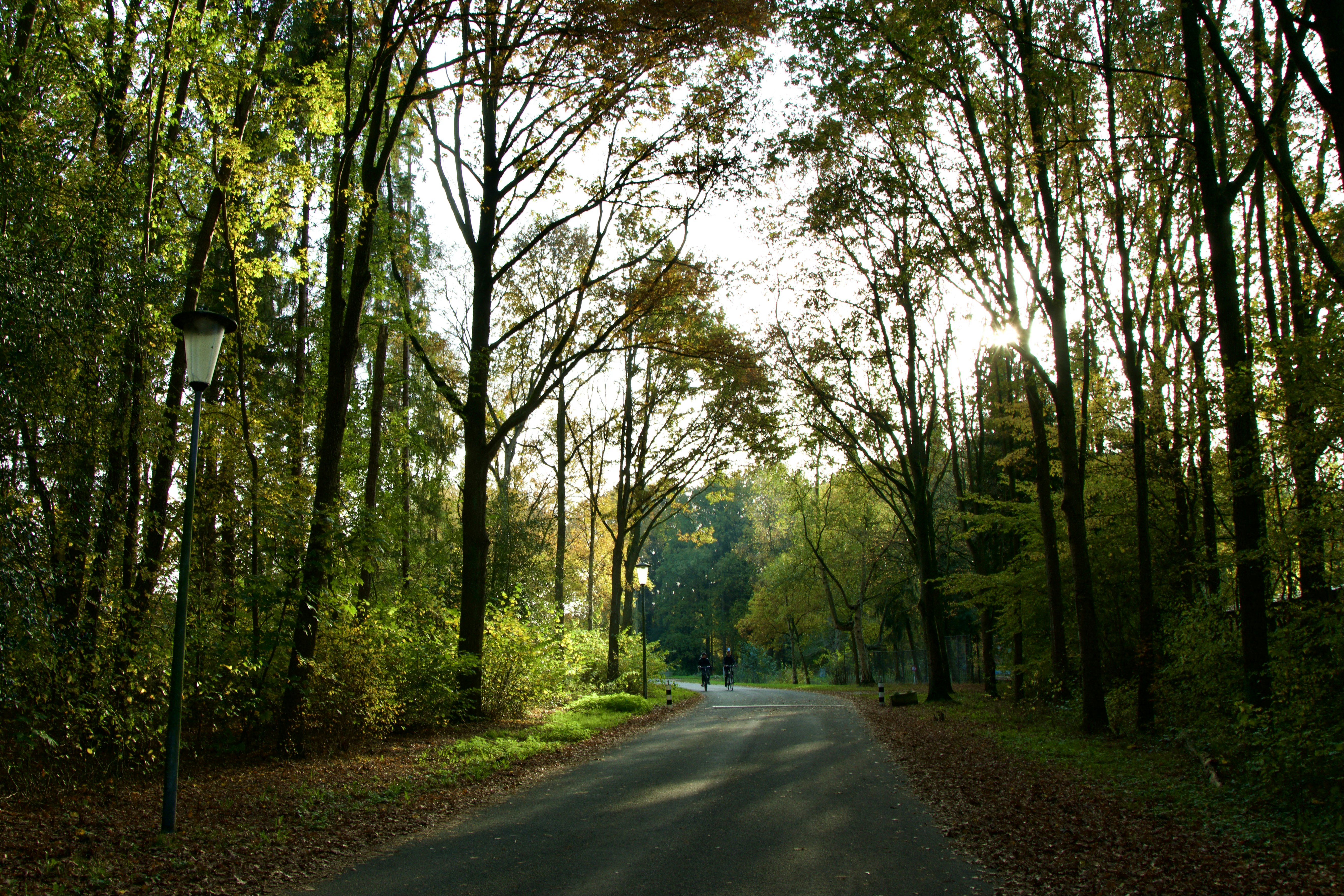Afbeelding van Veendam
