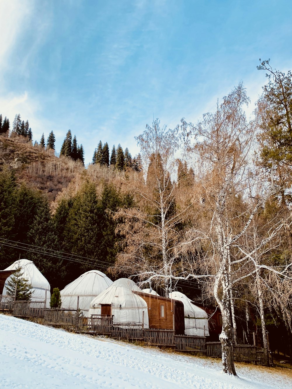 white and brown house surrounded by trees under blue sky during daytime