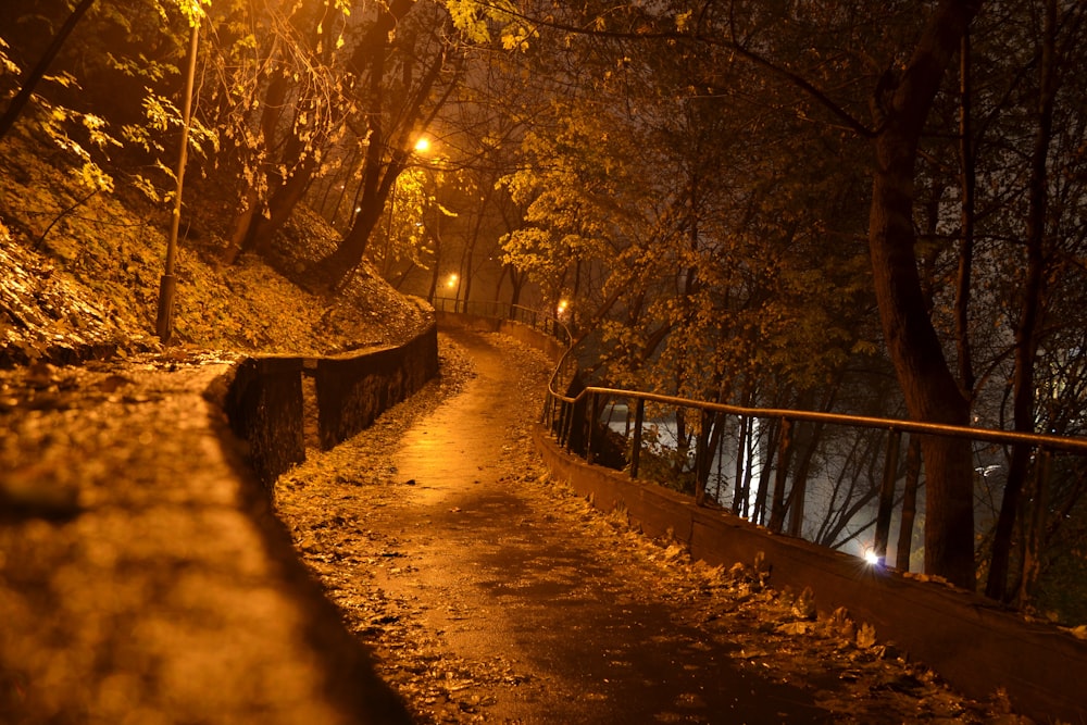 Puente de madera marrón entre árboles durante el día