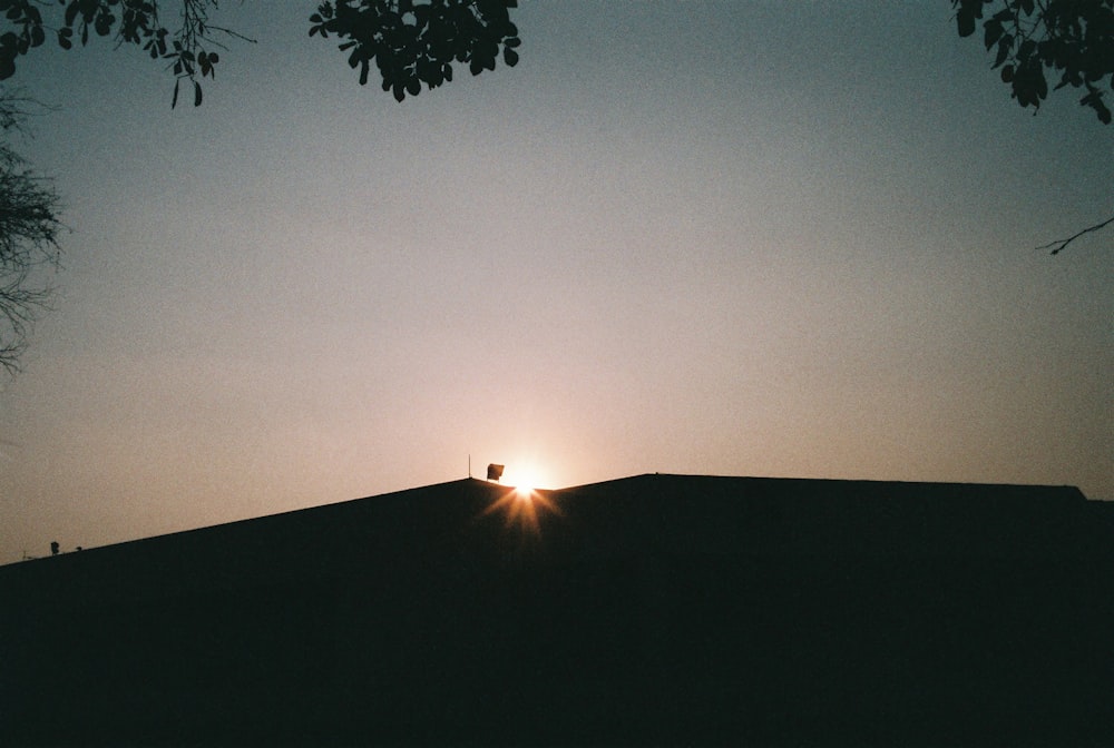 silhueta da árvore durante o pôr do sol