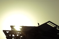 Roofer repairing a residential roof under bright Miami sunlight.
