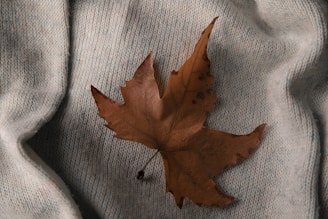 A dry brown leaf lies on a soft, textured, light gray knitted fabric, creating a cozy and autumnal atmosphere.