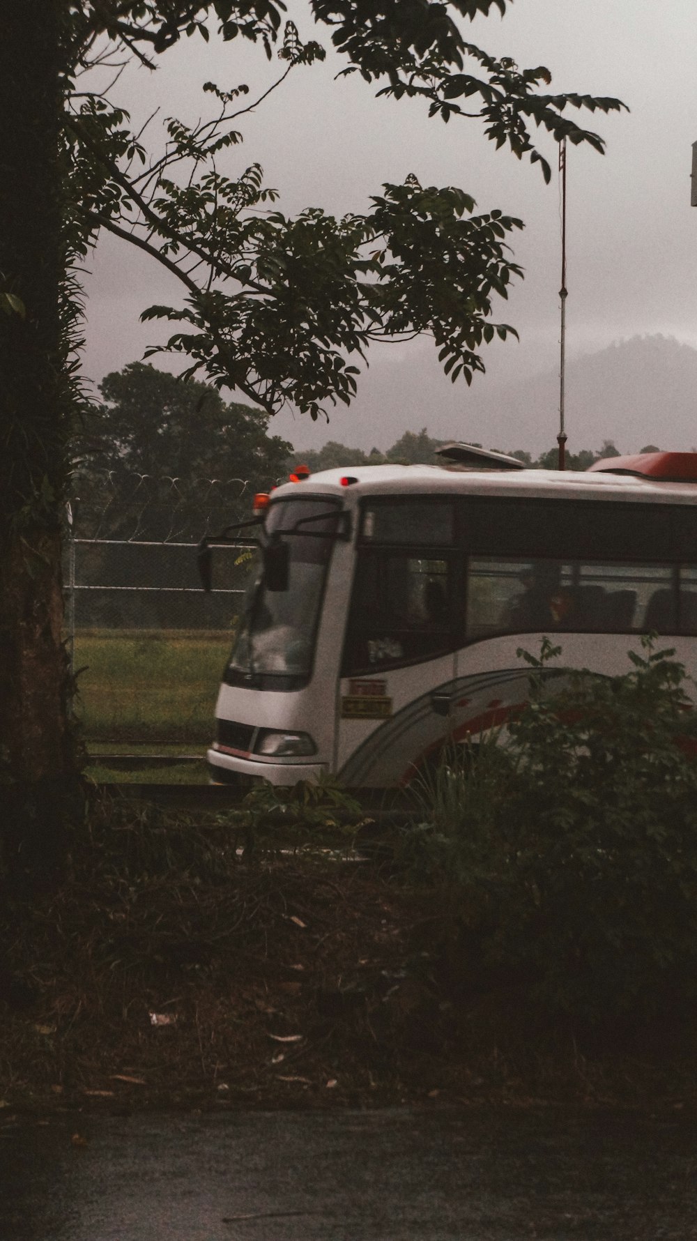 white and red bus on green grass field during daytime