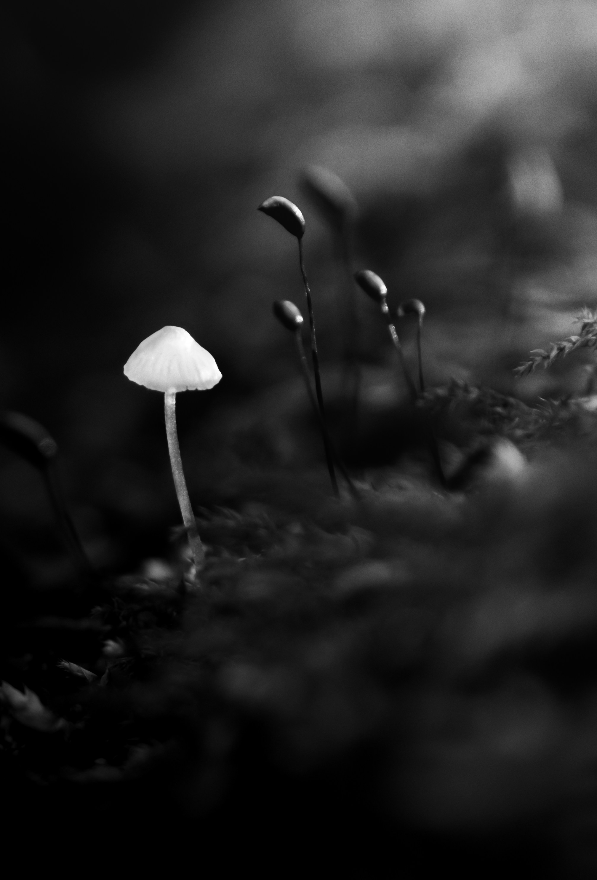 Photo by robinmathlener