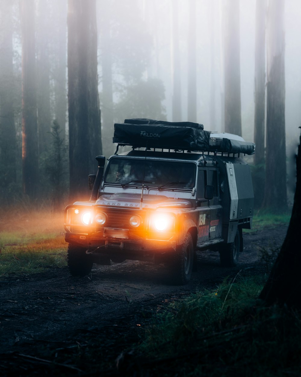 Jeep Wrangler noire sur la forêt pendant la journée