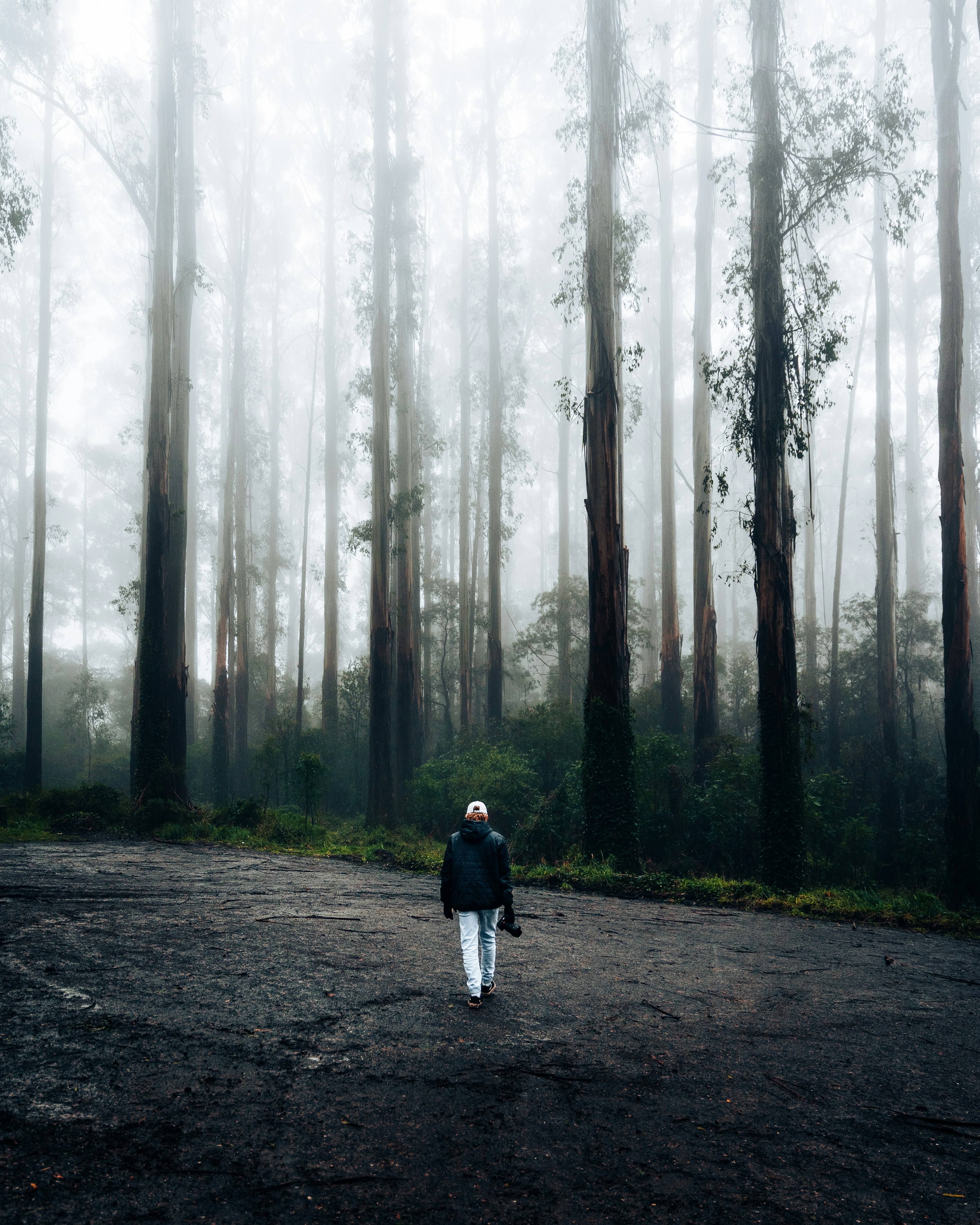 Photo by oskarsmethurst