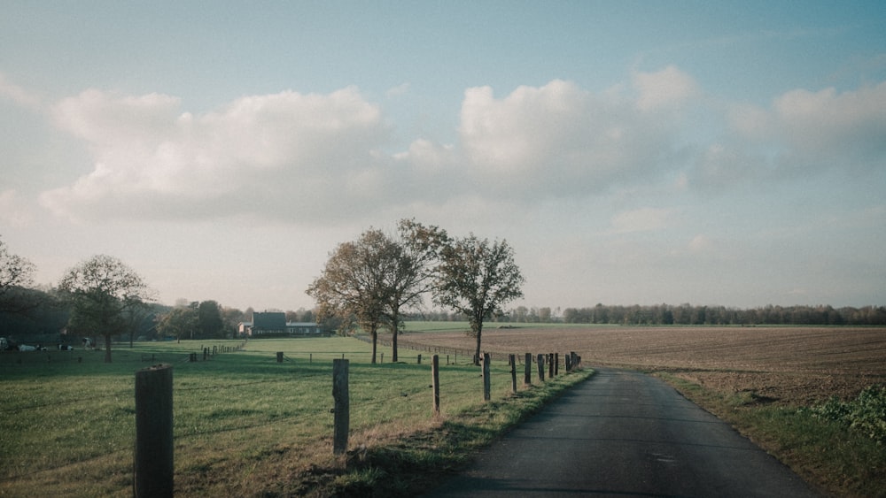 green grass field with trees under white clouds during daytime