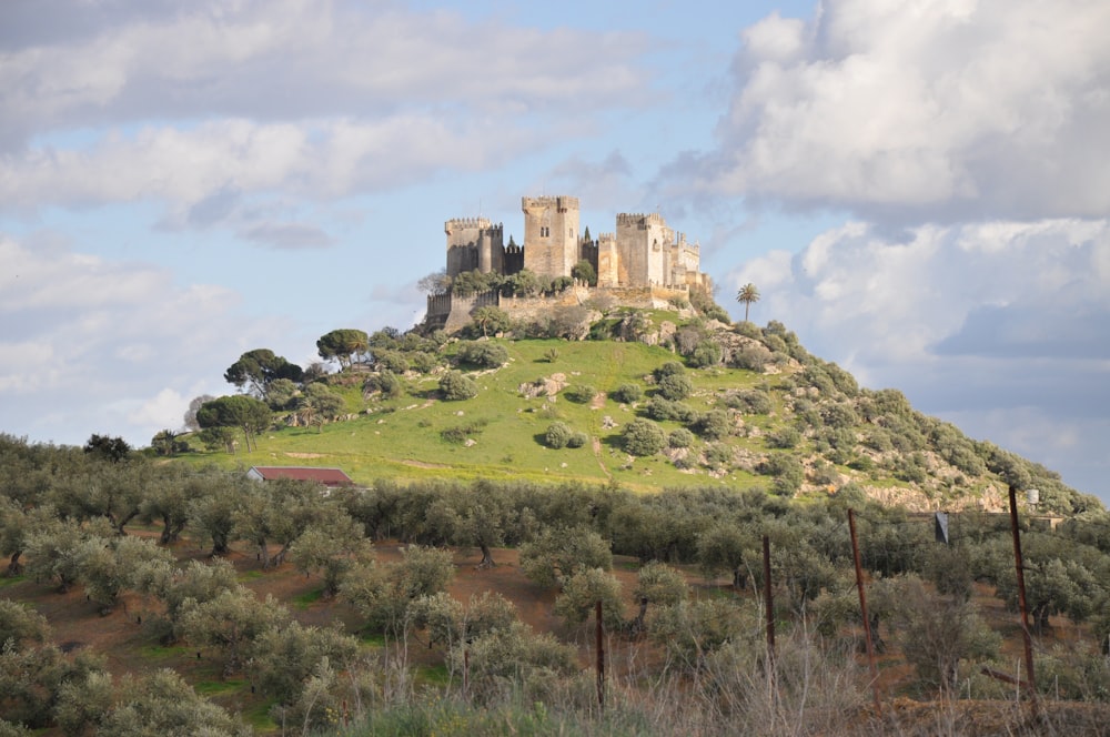 Château en béton brun sur un champ d’herbe verte sous des nuages blancs pendant la journée