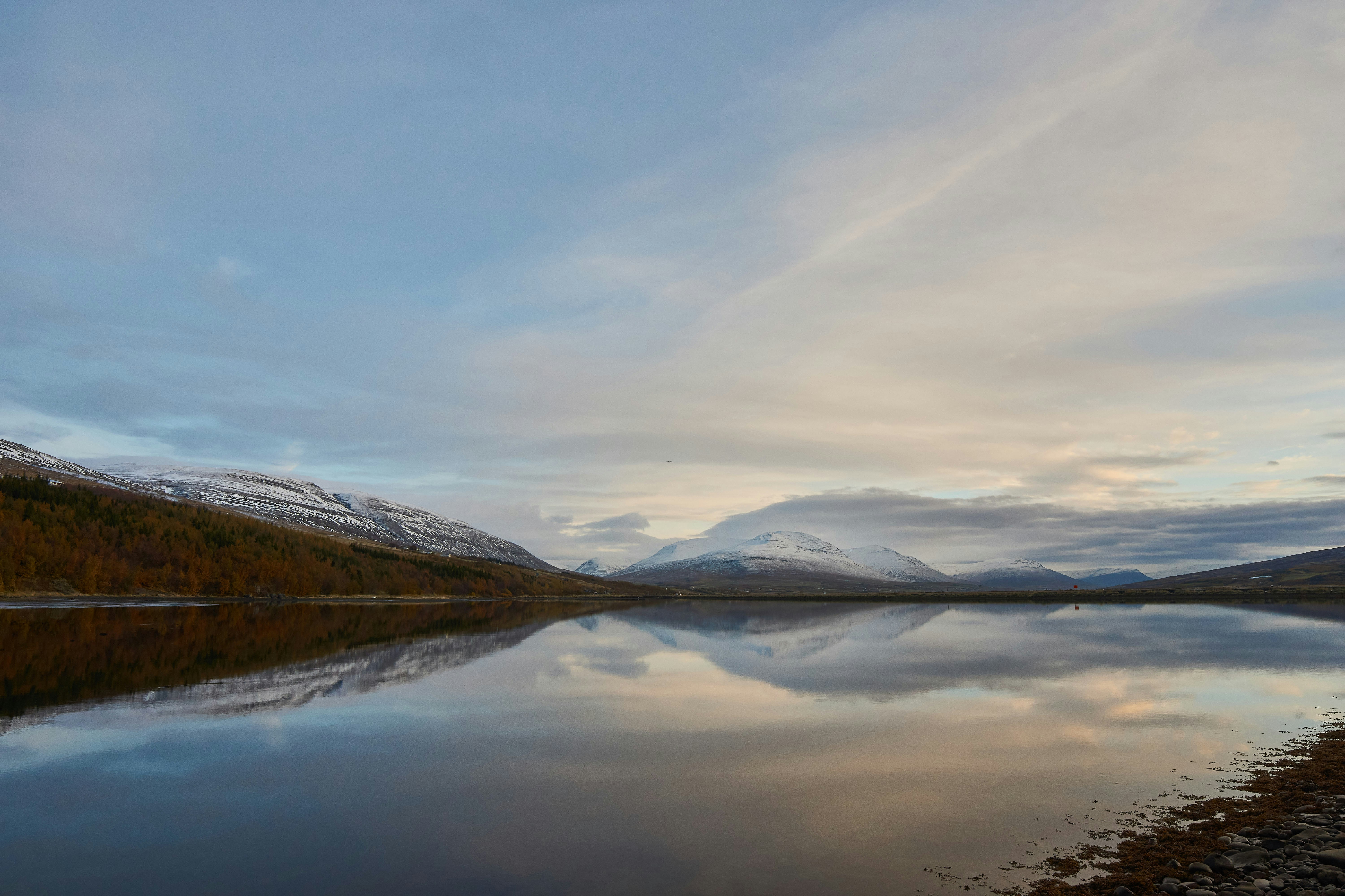 Photo by wolfgang_hasselmann