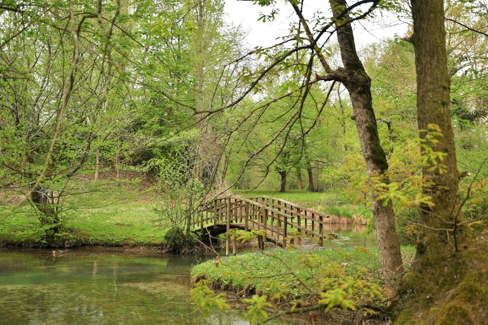 brown wooden bridge over river