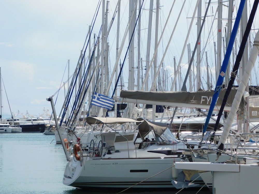 white sail boat on sea during daytime