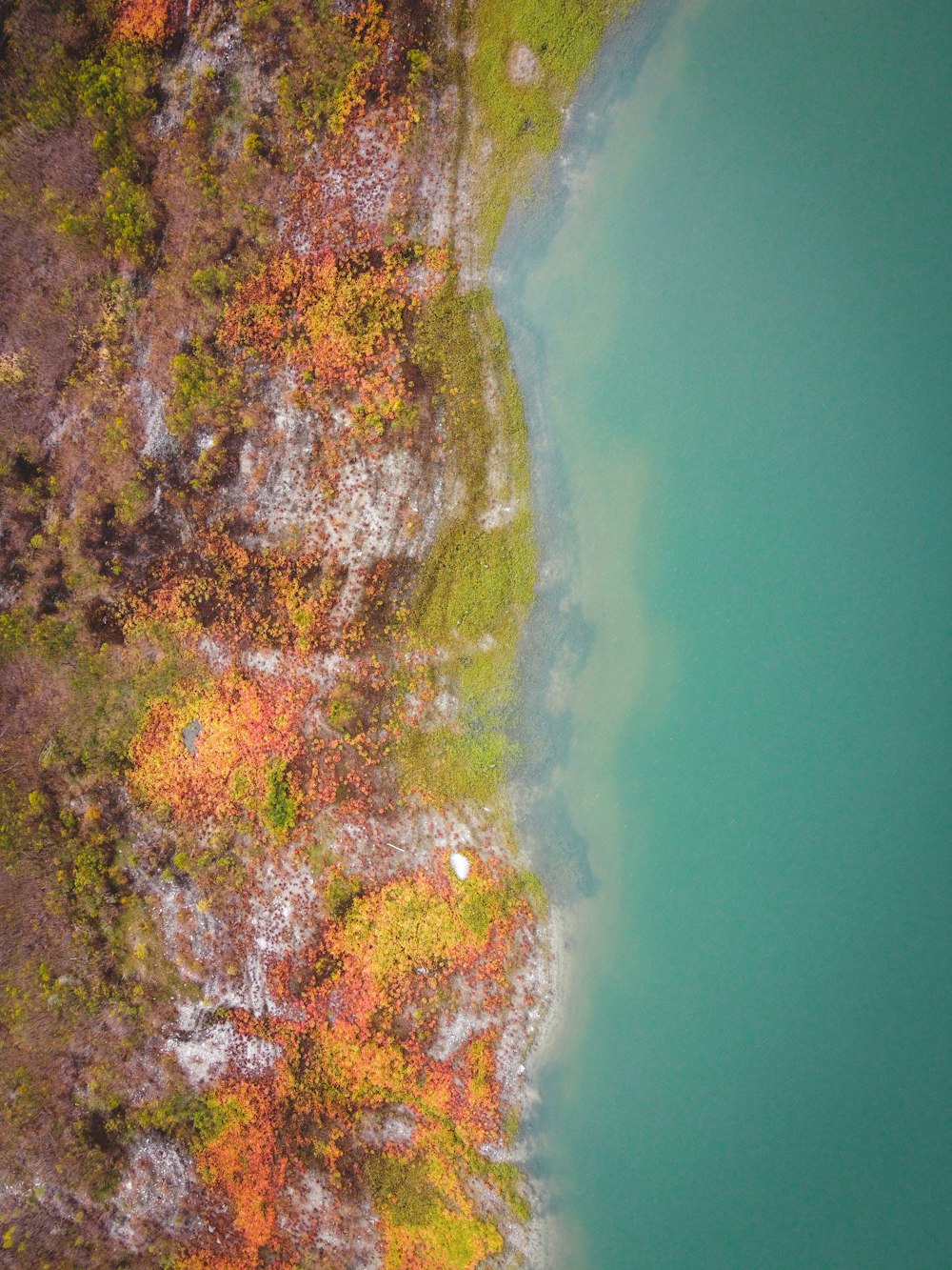 green and brown land beside body of water