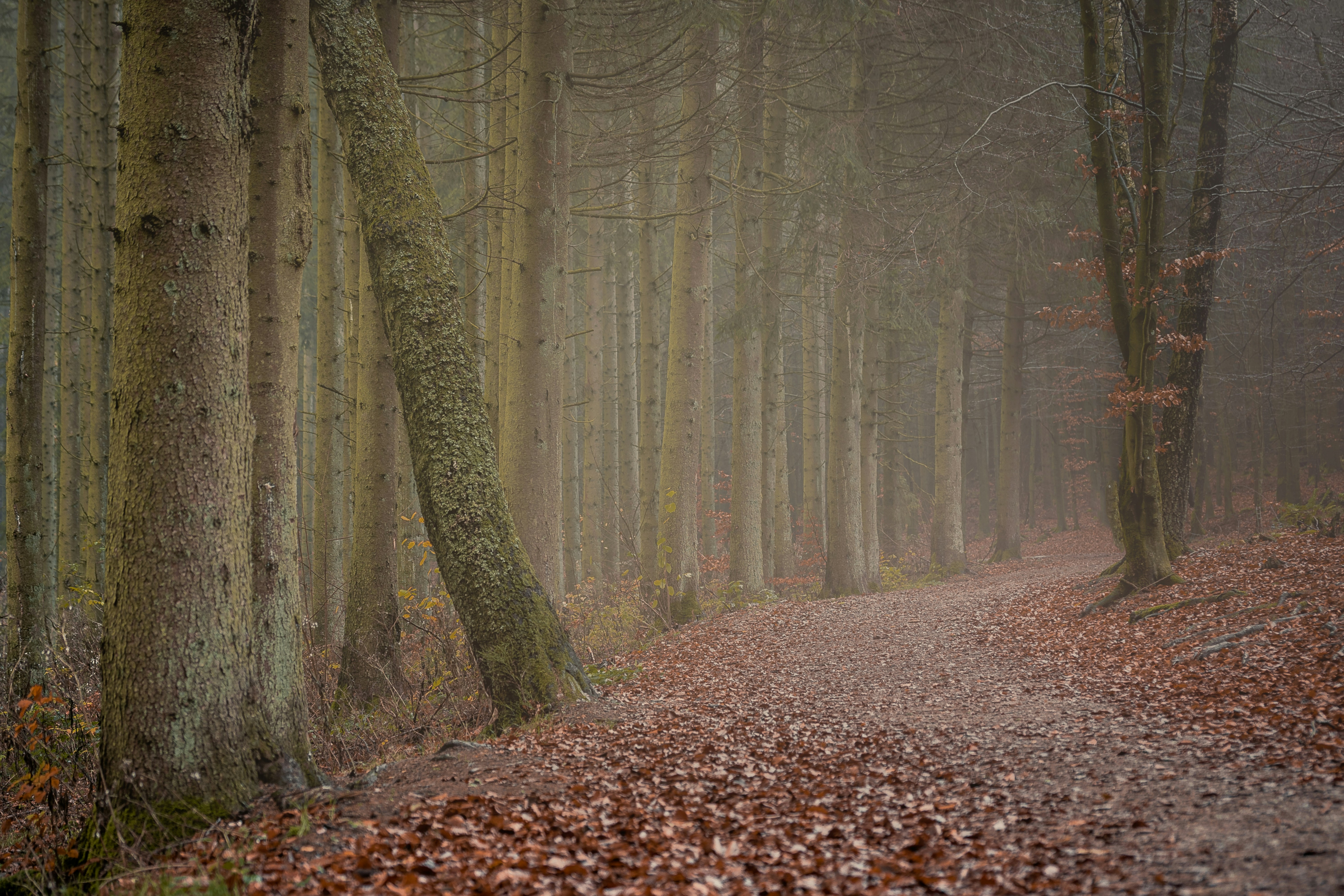 Photo by myriamzilles